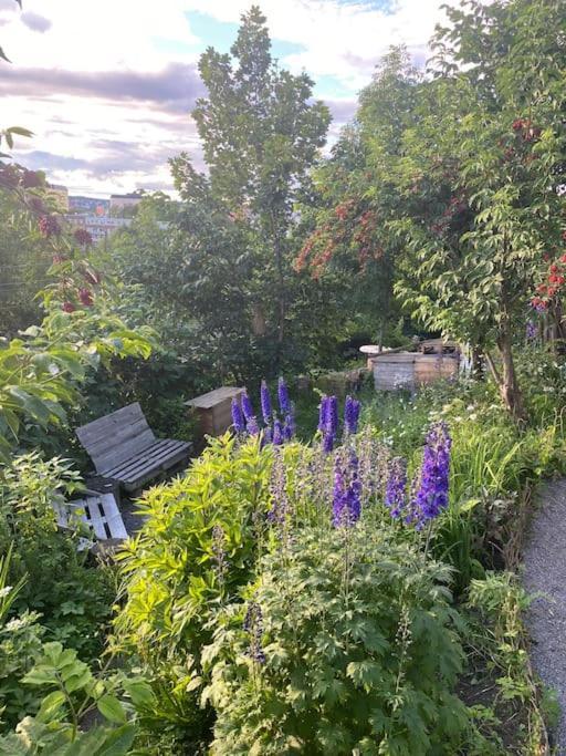 I Bydel Gruenerlokka Oslo